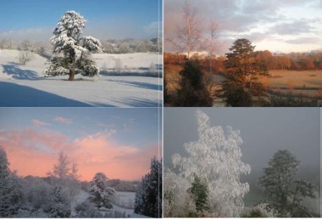 Four December Landscapes